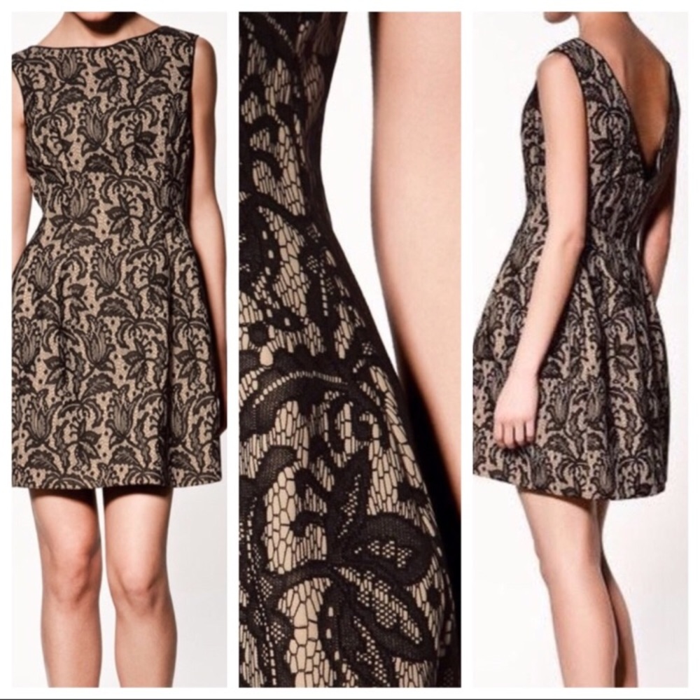 ZARA Lace tulip nude/ black lace dress